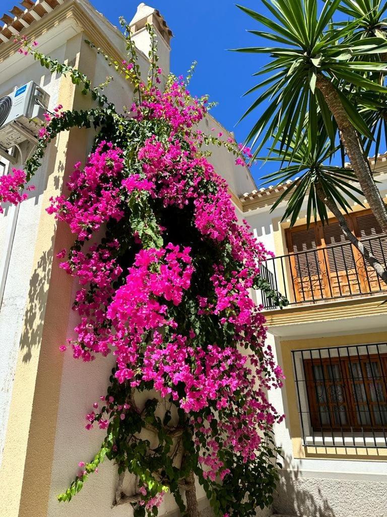 Casa Veratense Vera Playa Playas de Vera Екстериор снимка