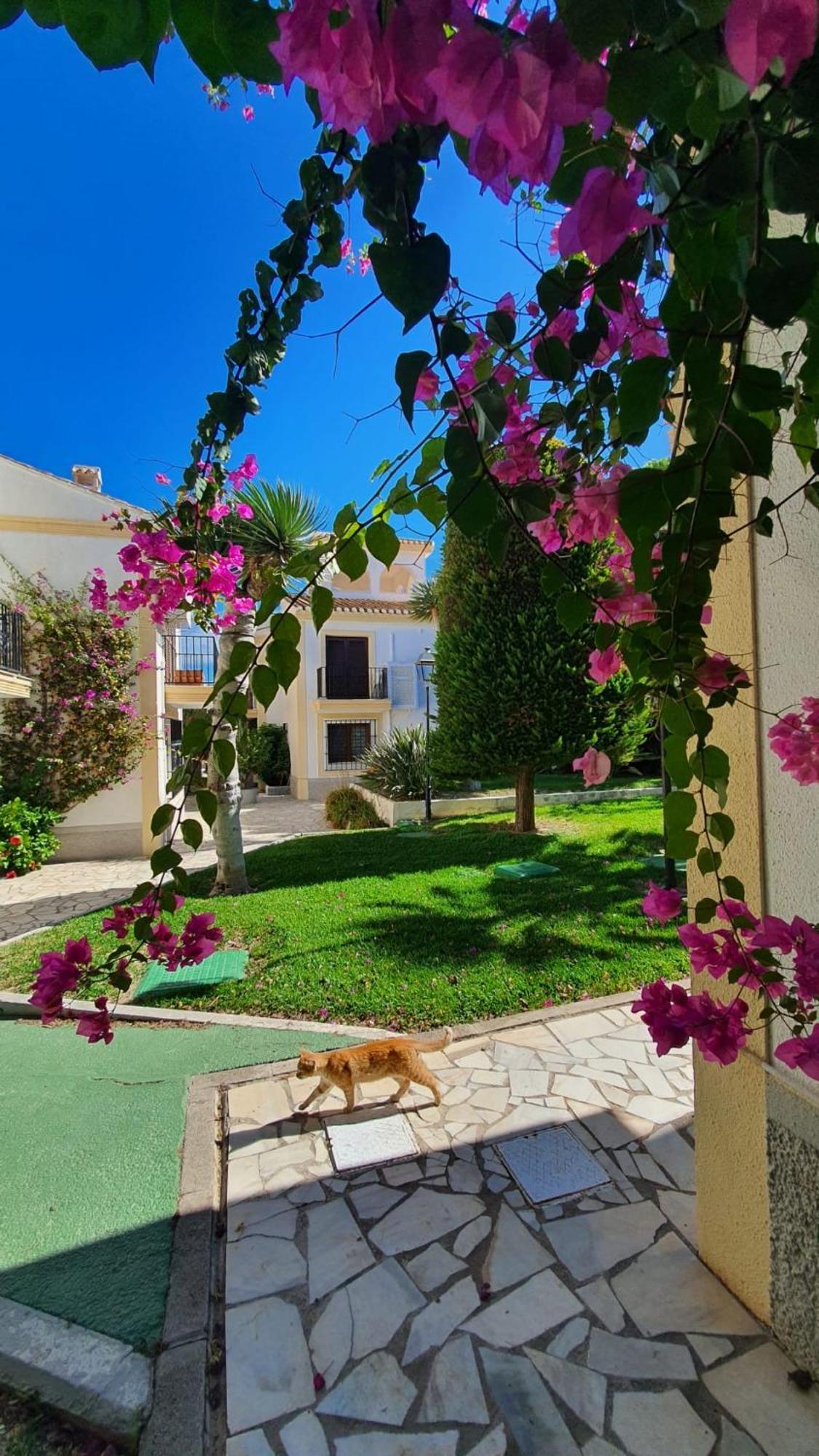 Casa Veratense Vera Playa Playas de Vera Екстериор снимка